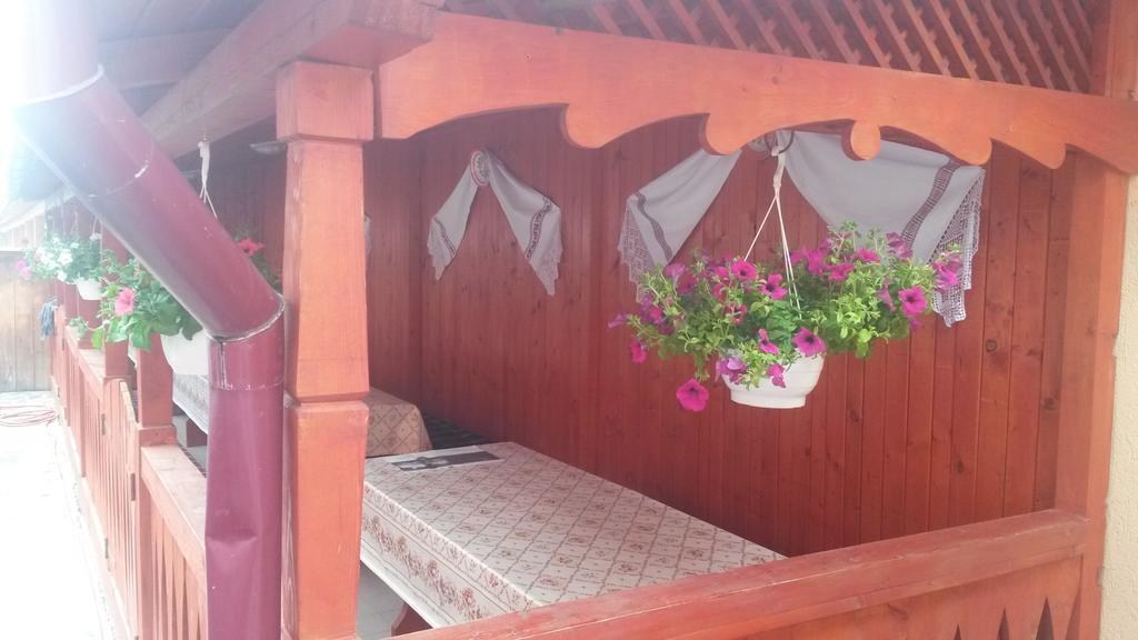 Pensiunea Adi Săpînţa Kültér fotó