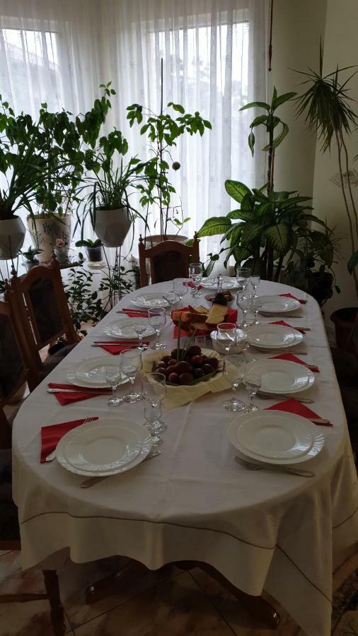 Pensiunea Adi Săpînţa Kültér fotó